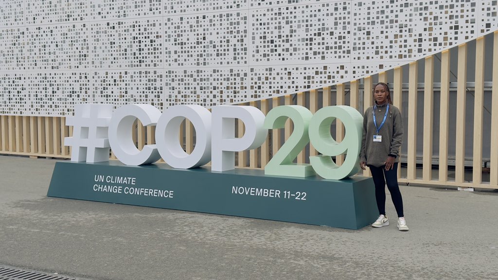 COP 29